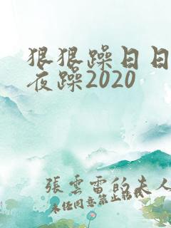 狠狠躁日日躁夜夜躁2020