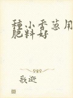 种小香葱用什么肥料好