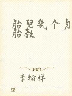 胎儿几个月可以胎教
