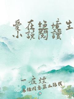 爱在绝境生出花小说阅读