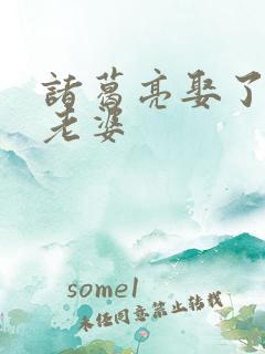 诸葛亮娶了几个老婆