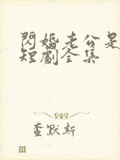 闪婚老公是豪门短剧全集