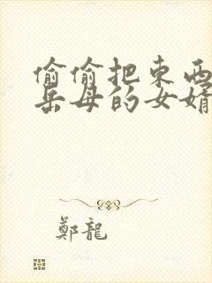 偷偷把东西放给岳母的女婿