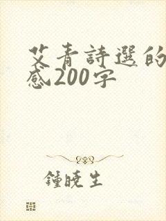 艾青诗选的读后感200字