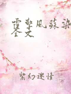 霍擎风苏染阅读全文