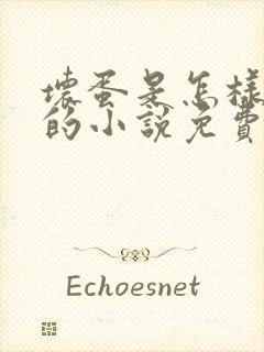 坏蛋是怎样炼成的小说免费听书软件