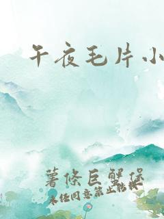 午夜毛片小视频