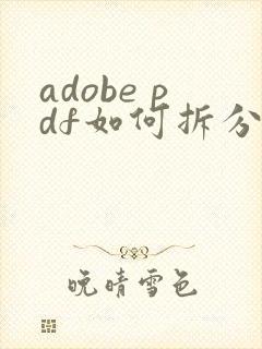 adobe pdf如何拆分成多个pdf