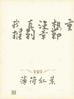 我真没想重生啊推到章节