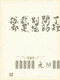 总裁别闹了孩子都是您的短剧全集免费观看