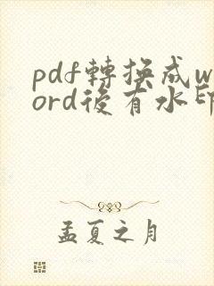 pdf转换成word后有水印怎么去掉