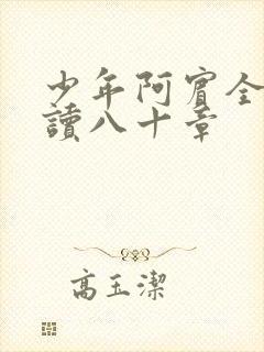 少年阿宾全文阅读八十章
