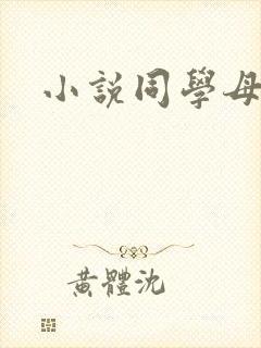 小说同学母亲