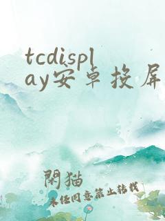 tcdisplay安卓投屏大师