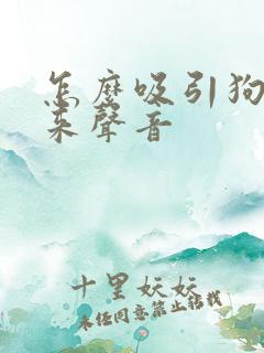 怎么吸引狗狗过来声音