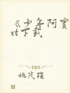 《少年阿宾》txt下载