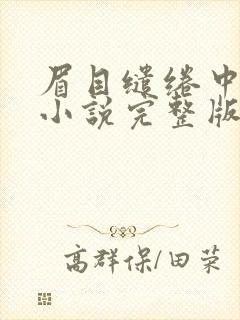眉目缱绻中孤寂小说完整版