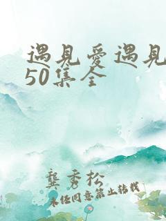 遇见爱遇见幸福50集全