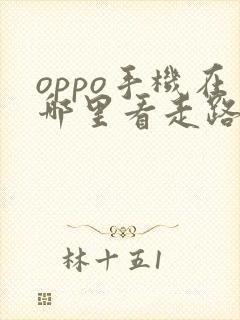 oppo手机在哪里看走路步数