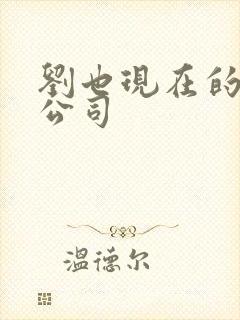 刘也现在的经纪公司