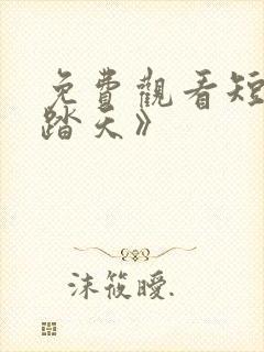 免费观看短剧《踏天》