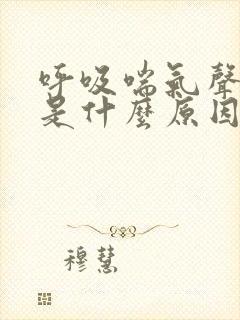 呼吸喘气声音大是什么原因