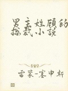 男主姓顾的现代总裁小说