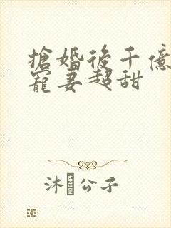 抢婚后千亿总裁宠妻超甜