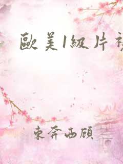 欧美1级片视频