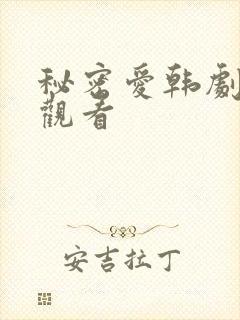 秘密爱韩剧在线观看