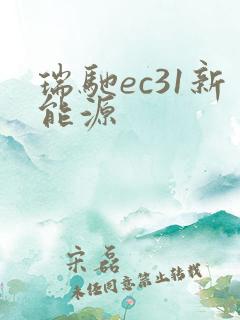 瑞驰ec31新能源