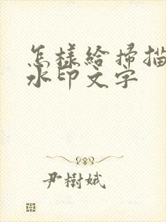 怎样给扫描件加水印文字
