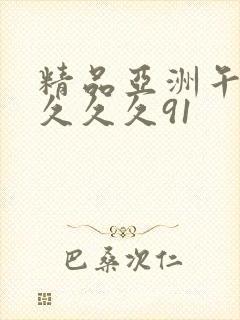 精品亚洲午夜久久久久91