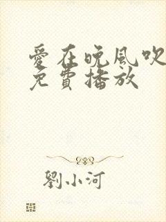爱在晚风吹短剧免费播放
