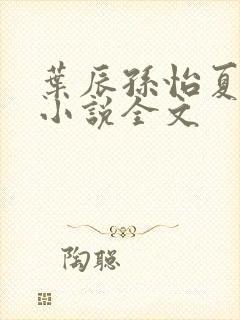叶辰孙怡夏若雪小说全文
