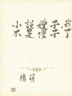 小说嫂子,我真不是傻子了免费阅读