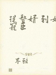 从赘婿 到女帝宠臣