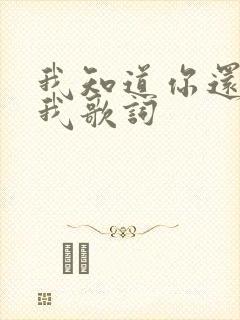 我知道你还爱着我歌词