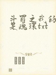 斗罗之我的武魂是魂环txt