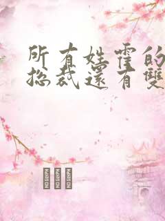 所有姓霍的小说总裁还有双胞胎儿子的