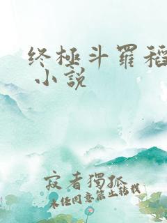 终极斗罗稻草人 小说