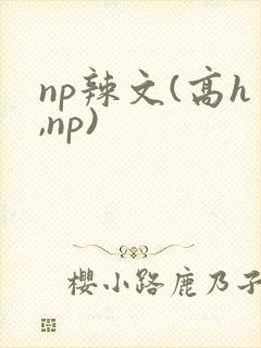 np辣文(高h,np)