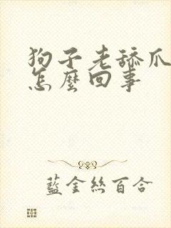 狗子老舔爪子是怎么回事