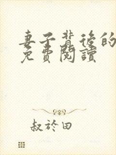 妻子背后的秘密免费阅读