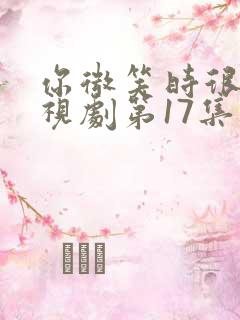 你微笑时很美电视剧第17集