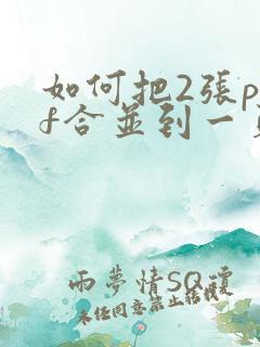 如何把2张pdf合并到一页