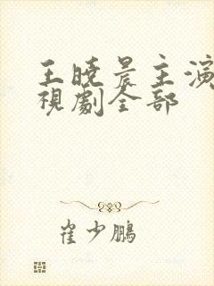 王晓晨主演的电视剧全部