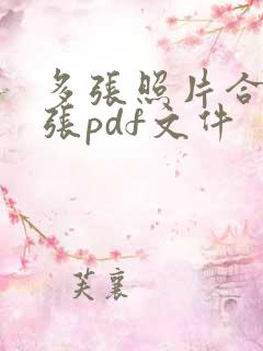 多张照片合成一张pdf文件