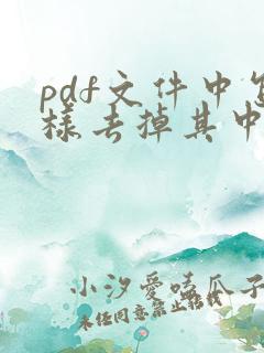 pdf文件中怎样去掉其中的一页