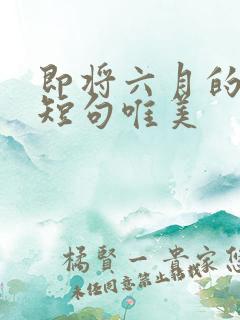 即将六月的句子短句唯美